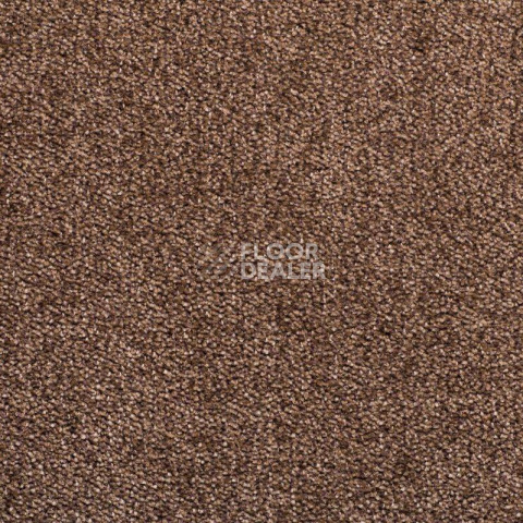Ковролин Sintelon Dragon 11431 фото 1 | FLOORDEALER