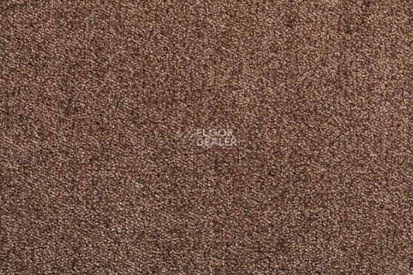 Ковролин Sintelon Dragon 11431 фото 1 | FLOORDEALER