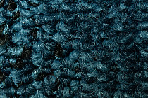 Balsan Take a Walk Rolls 170 фото 4 | FLOORDEALER