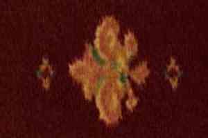 Ковролин Infloor Coronado 150 08 150 фото  | FLOORDEALER