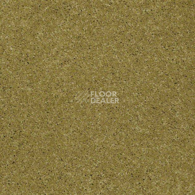 Ковролин Shaw Design Texture Platinum 322 фото 1 | FLOORDEALER