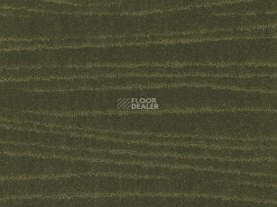 Carve Linea 593 Moss 3 фото 1 | FLOORDEALER