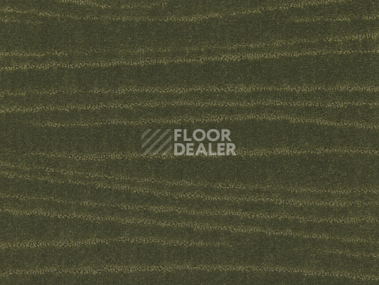 Ковролин Lano Carve Linea 593 Moss 3 фото 1 | FLOORDEALER