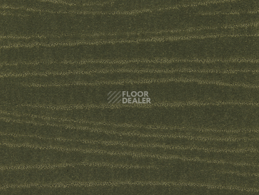 Ковролин Carve Linea 593 Moss 3 фото 1 | FLOORDEALER
