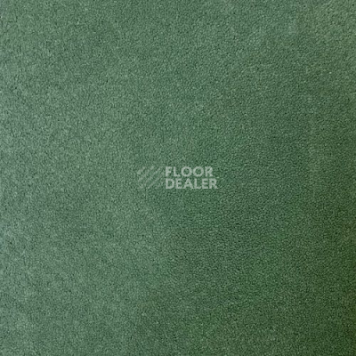 Ковролин Haima Andorra 6079 фото 1 | FLOORDEALER