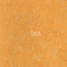 Линолеум Marmorette Acoustic DLW 121-173 фото 1 | FLOORDEALER