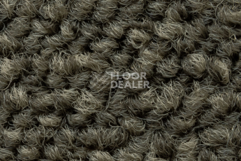 Forbo Tessera Create Space 1 1807 Tawny фото 4 | FLOORDEALER