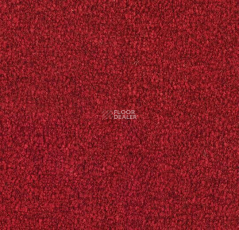Forbo Coral Marine FR 4223 Hong Kong Red фото 1 | FLOORDEALER