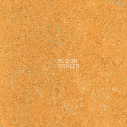 Линолеум Gerflor Marmorette Acoustic DLW 121-173 фото 1 | FLOORDEALER