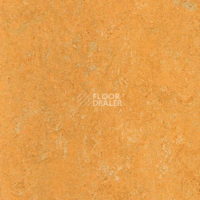 Линолеум Marmorette Acoustic DLW 121-173 фото 1 | FLOORDEALER