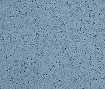 Кварцвиниловые полы Lino Fatra Praktik 9004 фото 1 | FLOORDEALER