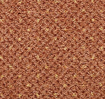 Ковролин Condor Carpets America 105 фото 1 | FLOORDEALER