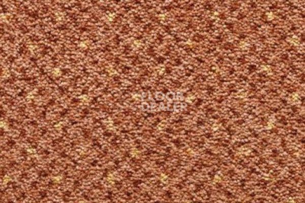 Ковролин CONDOR Carpets America 105 фото 1 | FLOORDEALER