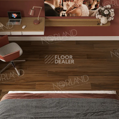 Norland Elegant Strong 12мм Орех Инис LF302-21 фото 2 | FLOORDEALER