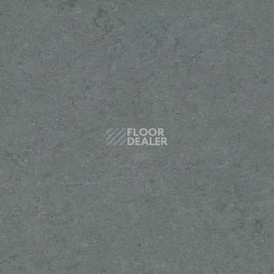 Линолеум Marmorette DLW  2mm 0054 Concrete Patty фото 1 | FLOORDEALER