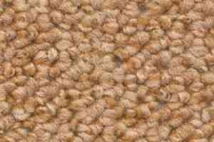 Ковролин Dura Loop 321 фото  | FLOORDEALER