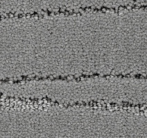 Ковролин Balsan Saigon 920 фото 1 | FLOORDEALER