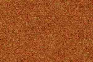 Ковролин Forbo Forte 96035 Orange фото  | FLOORDEALER