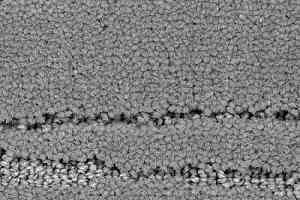 Ковролин Balsan Saigon 920 фото  | FLOORDEALER