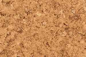 Линолеум Tarkett Комфорт Sarah 0 фото  | FLOORDEALER