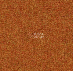 Ковролин Forbo Forte 96035 Orange фото 1 | FLOORDEALER