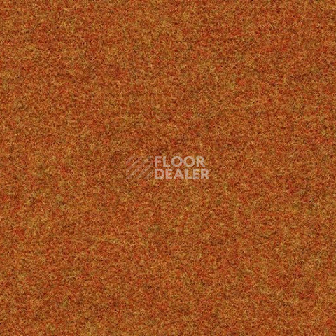 Ковролин Forbo Forte 96035 Orange фото 1 | FLOORDEALER