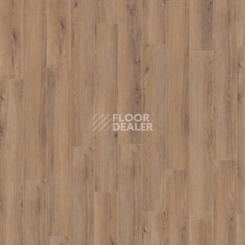 Kronotex Robusto 12мм d80622 Дуб норфолк бронзовый фото 3 | FLOORDEALER