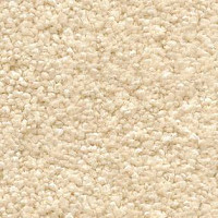 Ковролин AW Invictus Orion 36 фото 1 | FLOORDEALER