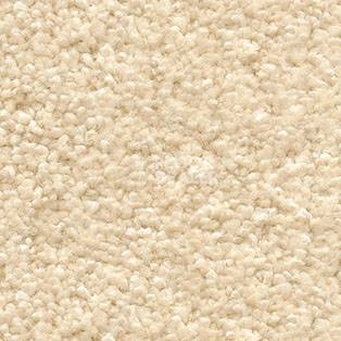 Ковролин AW Invictus Orion 36 фото 1 | FLOORDEALER