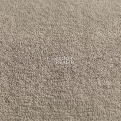 Ковролин Jacaranda Carpets Jaspur Vellum фото 1 | FLOORDEALER