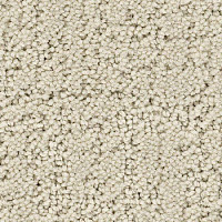 Ковролин Balsan Rialto 605 фото 1 | FLOORDEALER