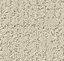 Ковролин Balsan Rialto 605 фото 1 | FLOORDEALER