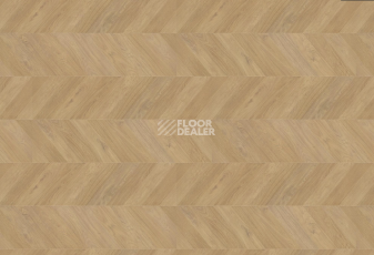 Ламинат Haro Chevron 8мм 545179 Дуб Пуро Шеврон фото 1 | FLOORDEALER