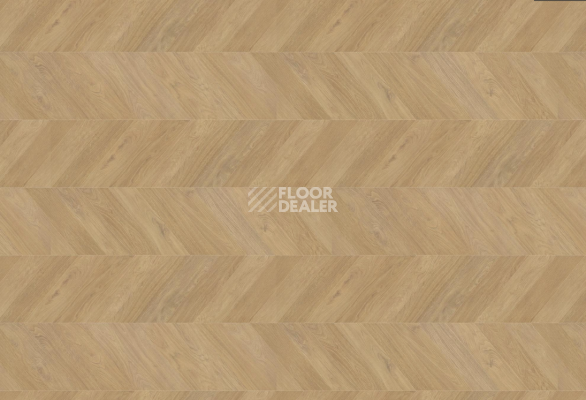 Ламинат Haro Chevron 8мм 545179 Дуб Пуро Шеврон фото 1 | FLOORDEALER