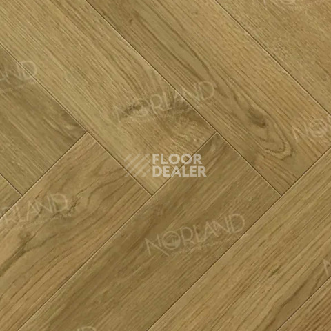 Ламинат Norland Herringbone Elegant 8мм LF303-17 Дуб Фанэн фото 1 | FLOORDEALER