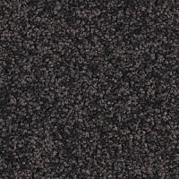 Ковровая плитка Balsan Serenite Sonic Confort 981 фото 1 | FLOORDEALER