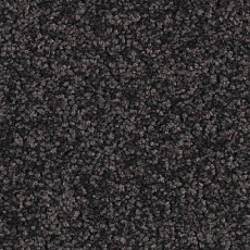 Ковровая плитка Balsan Serenite Sonic Confort 981 фото 1 | FLOORDEALER