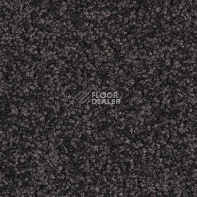 Ковровая плитка Balsan Serenite Sonic Confort 981 фото 1 | FLOORDEALER