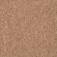 Shaw Momentum 02711 фото 1 | FLOORDEALER