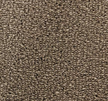 Ковролин Edel Tamino 133 фото 1 | FLOORDEALER