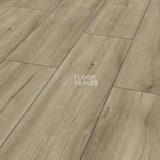 Ламинат Kronotex Exquisit Plus d6016 Хикори Занзибар Природный фото 1 | FLOORDEALER