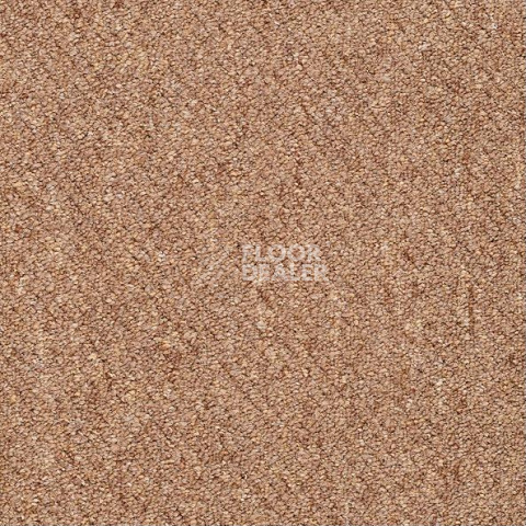 Ковровая плитка Shaw Momentum 02711 фото 1 | FLOORDEALER