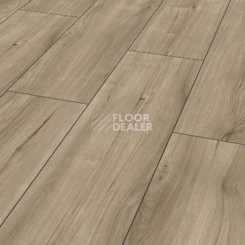 Ламинат Kronotex Exquisit Plus d6016 Хикори Занзибар Природный фото 1 | FLOORDEALER