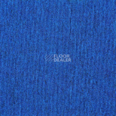 Ковровая плитка Innovflor Basis 11 фото 1 | FLOORDEALER