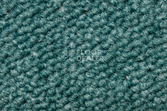 Desso Essence 8012 фото 2 | FLOORDEALER