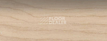 Плинтус Dollken EP 60/13 2646 фото 2 | FLOORDEALER