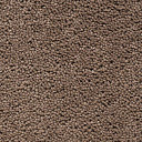 Ковролин Best Wool Pure Brunel d 40009  | FLOORDEALER