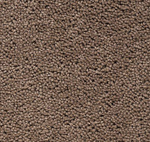 Ковролин Best Wool Pure Brunel d 40009 фото 1 | FLOORDEALER