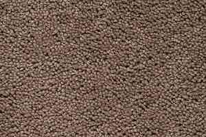 Ковролин Best Wool Pure Brunel d 40009 фото  | FLOORDEALER