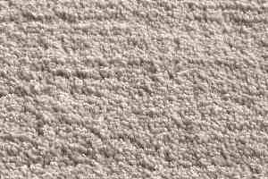 Ковролин Jacaranda Carpets Agra Platinum фото  | FLOORDEALER